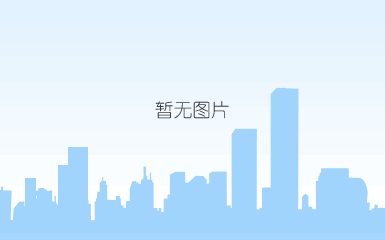 大华保全十年庆典